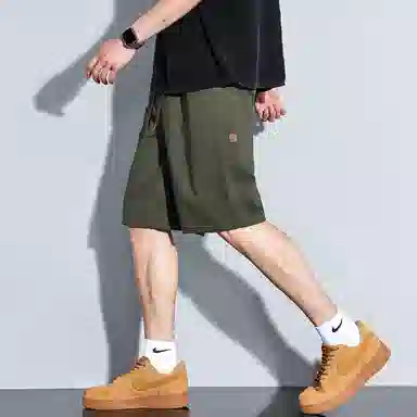 tonlion