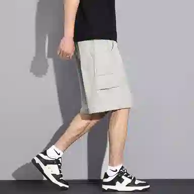 tonlion