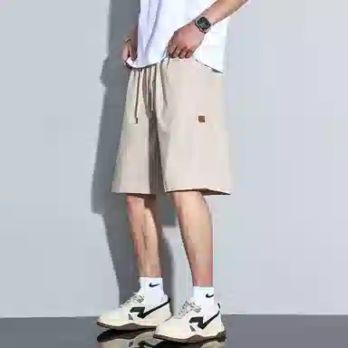 tonlion
