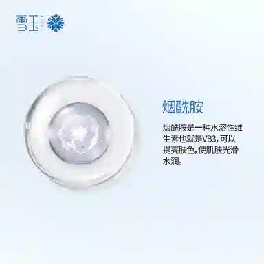 雪玉  雪玉玻色因锁水保湿日霜 保湿