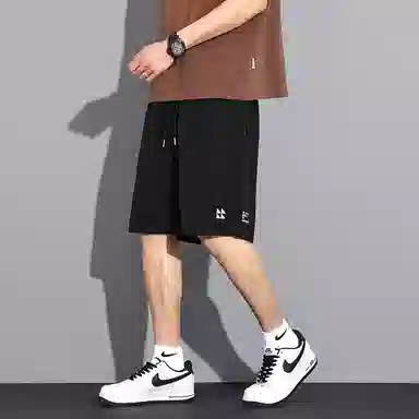 tonlion