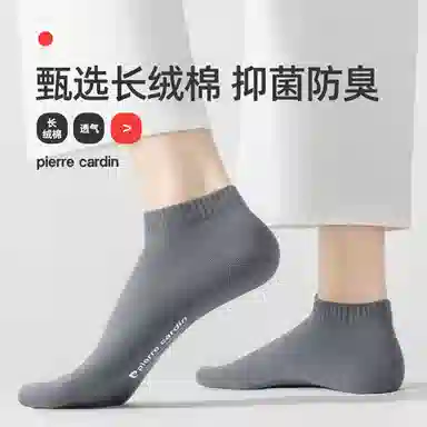 PIERRE CARDIN LOGO 5