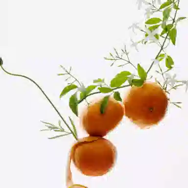 ZARA GOLDEN DECADE WINTER EDP 80ml