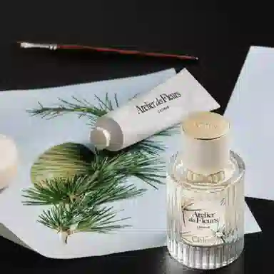 Chloe Wonderland Garden North Cedarwood EDP 50ml