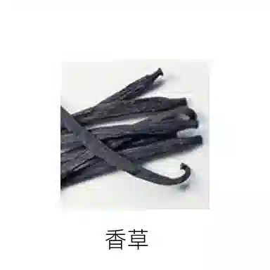 DIOR Bois Talisman EDP 50ml100ml200ml