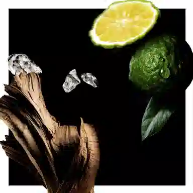 Givenchy L'Enfant Terrible EDP