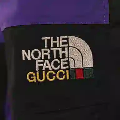 GUCCI x THE NORTH FACE Logo