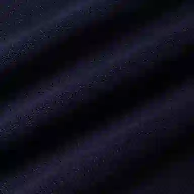 Tommy Hilfiger Logo