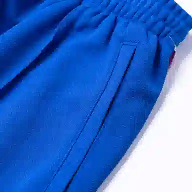 DESCENTE Logo Embroidered Shorts