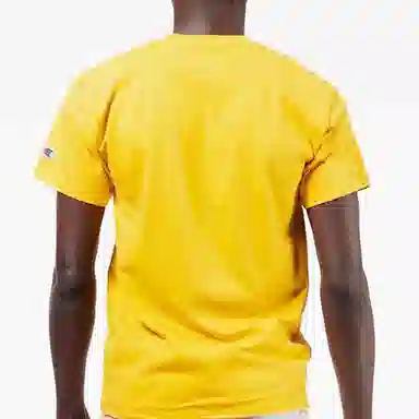 Champion T