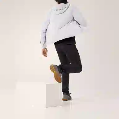 Arcteryx Gamma Lightweight Jacket