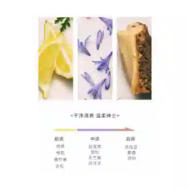 VERSACE EDT 30ml50ml100ml200ml