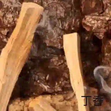 Maison Margiela Fireplace EDT