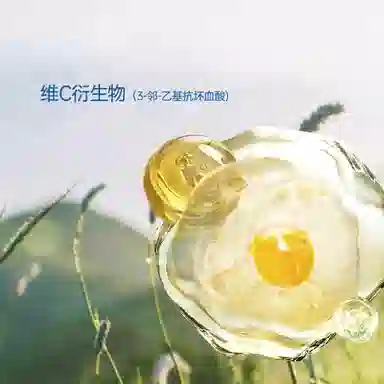 VC