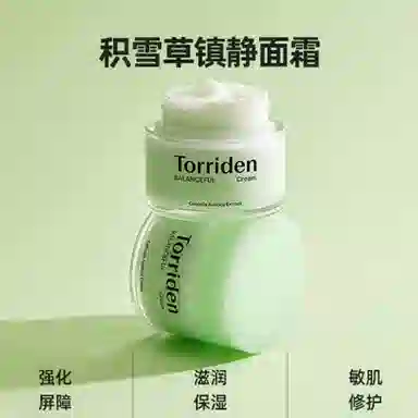Torriden 80ml