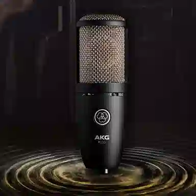 AKG P220