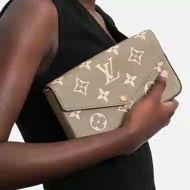 Louis Vuitton Pochette Félicie Elephant Grey Milk White