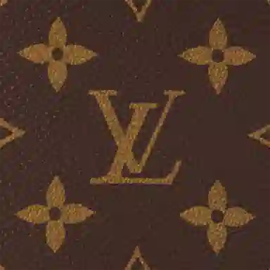 Louis Vuitton Ivy
