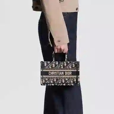 Dior Book Tote Mini Blue Beige