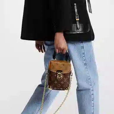 LOUIS VUITTON Camera