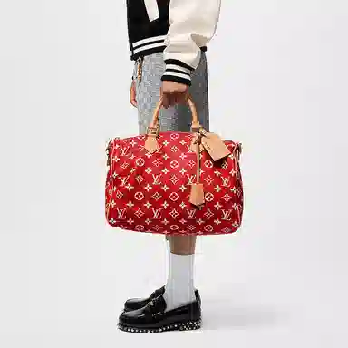 LOUIS VUITTON Speedy 40