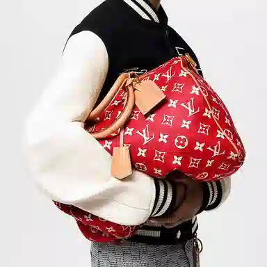 LOUIS VUITTON Speedy 40