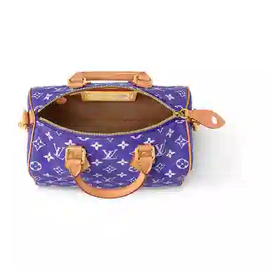 Louis Vuitton Speedy Bandoulière 25