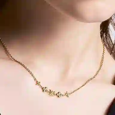 LOUIS VUITTON LV Monogram