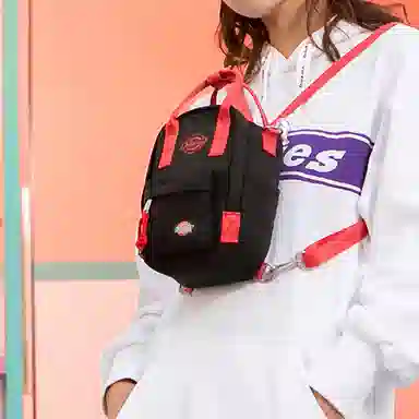 Dickies Backpack Black