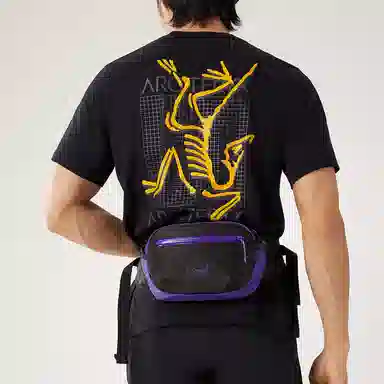 Arcteryx Arro Silver Phantom Purple