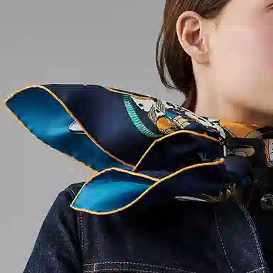 HERMES Les Mustangs II