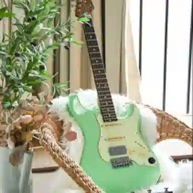 MOOER (GTRS by ) S800(Standard) GWF4