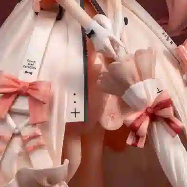 Myethos 17 VER. 25.5cm