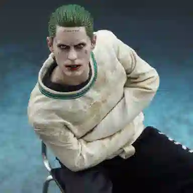 Hot Toys x 16 29.5cm