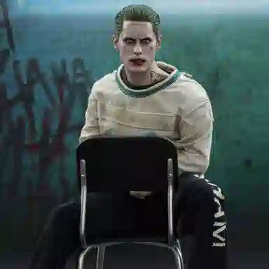 Hot Toys x 16 29.5cm