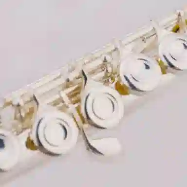 JINBAO (JINBAO) C JBFL-6248S