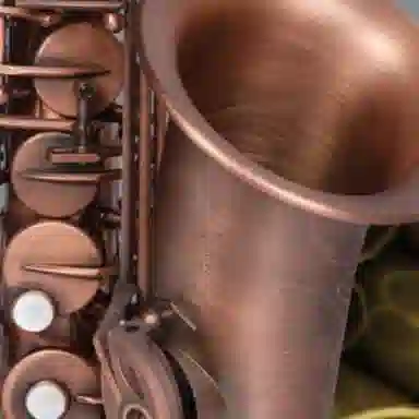 (JINBAO) E JBWAS-313