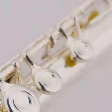 JINBAO (JINBAO) C JBFL-6248S