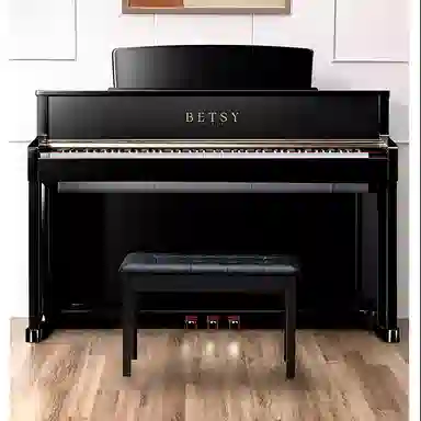 BETSY B336 BETSY B336