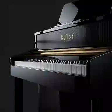 BETSY B336 BETSY B336