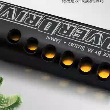 SUZUKI MR-300 Blues 10