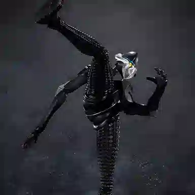 BANDAI S.H.Figuarts 15cm