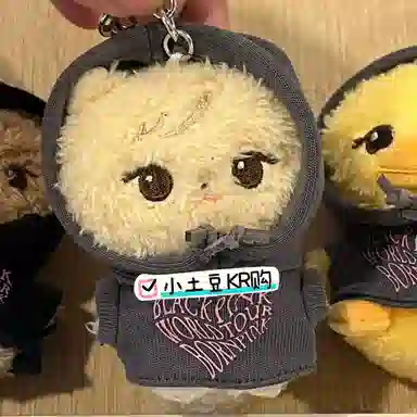 YG Entertainment Blackpink BLACKPINK BPTOUR