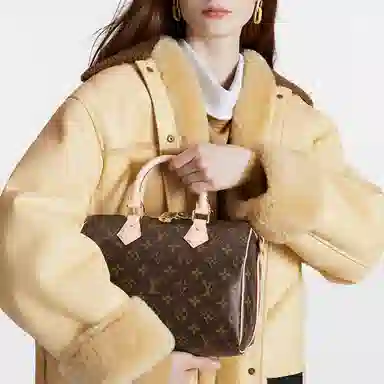 Louis Vuitton Speedy 25