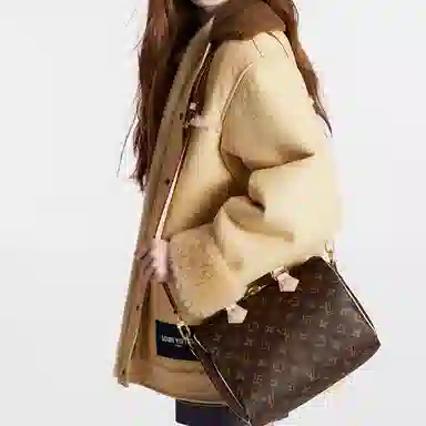 Louis Vuitton Speedy 25