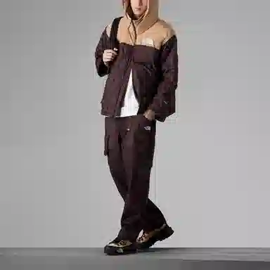 The North Face Urban Exploration 700 Fill Down Jacket Brown