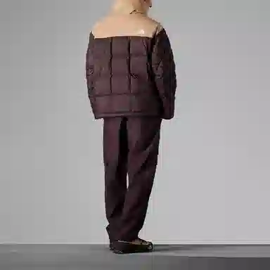 The North Face Urban Exploration 700 Fill Down Jacket Brown