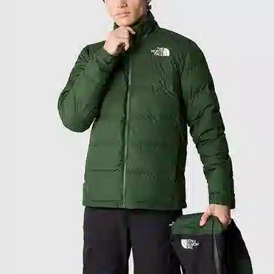 THE NORTH FACE TRICLIMATE GORE-TEX Logo