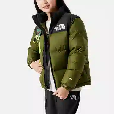 THE NORTH FACE LogoICON700