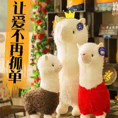 28cm38cm46cm55cm65cm